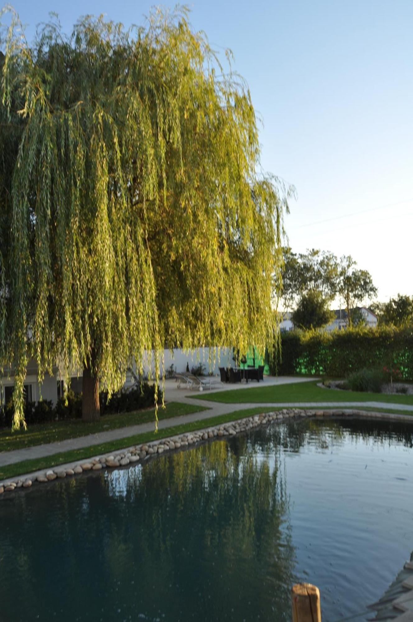 Kirchers Park & Wellnesshotel Kaiserstuhl Garni Endingen am Kaiserstuhl Εξωτερικό φωτογραφία